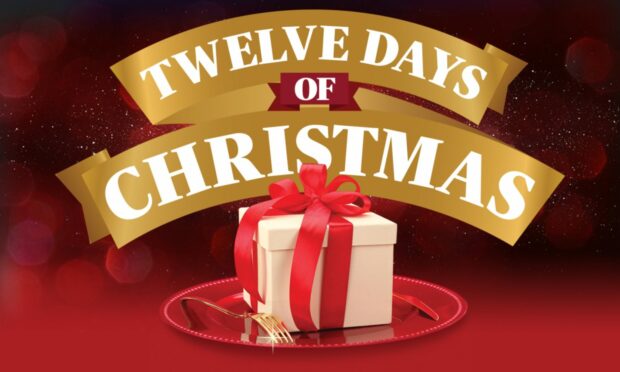 The 12 Days of Christmas Giveaway takes place from December 1 to December 12, 2022.
