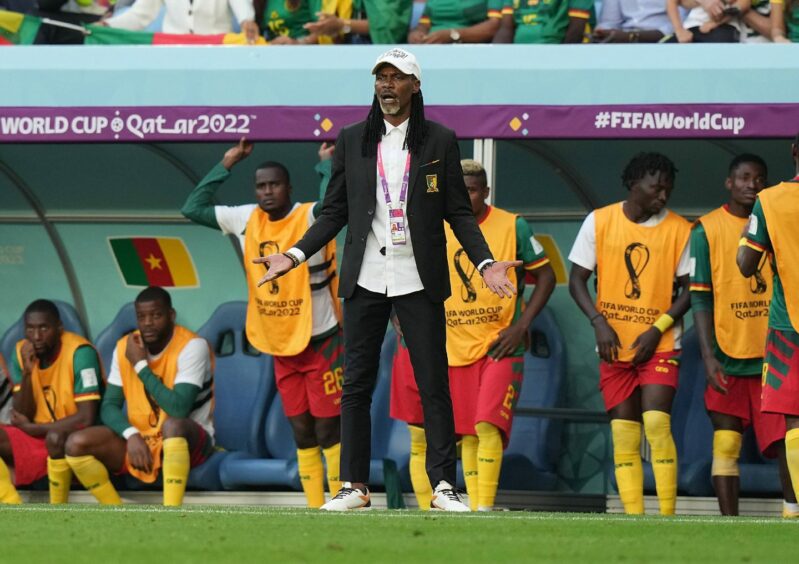 Photo shows Cameroon coach Rigobert Song standing in front of the dugout watching his side against Serbia in Qatar