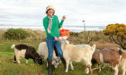 Lunan Bay Farm's Jillian McEwan with some of her prized cashmere goats. Picture: Paul Reid.