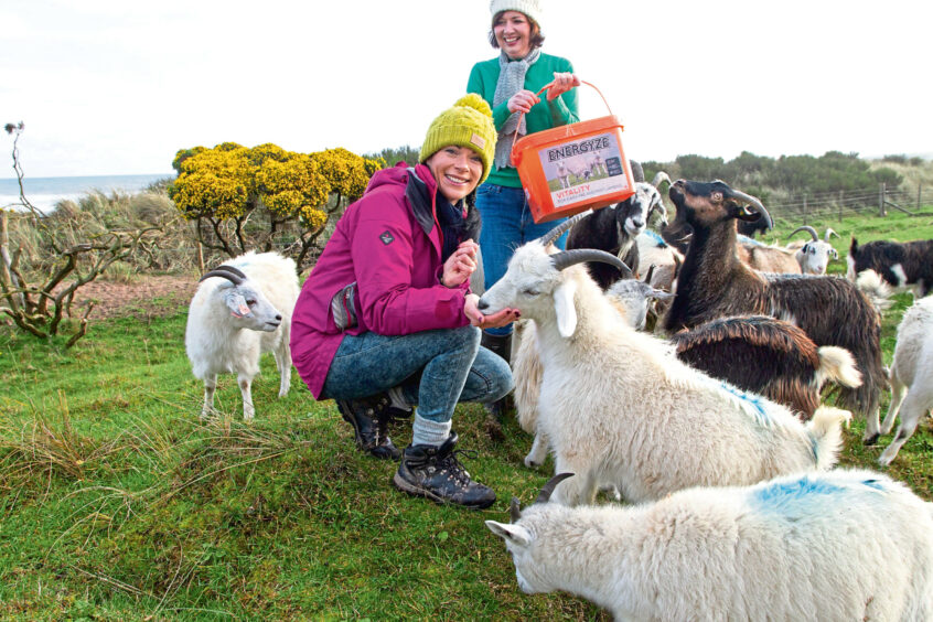Gayle and Jillian with some of the inquisitive goats. Image: Paul Reid