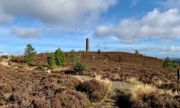 Tower on summit of Scolty Hill.