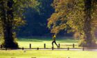 An autumn runner at Camperdown Park in Dundee. Image: Gareth Jennings/DC Thomson.