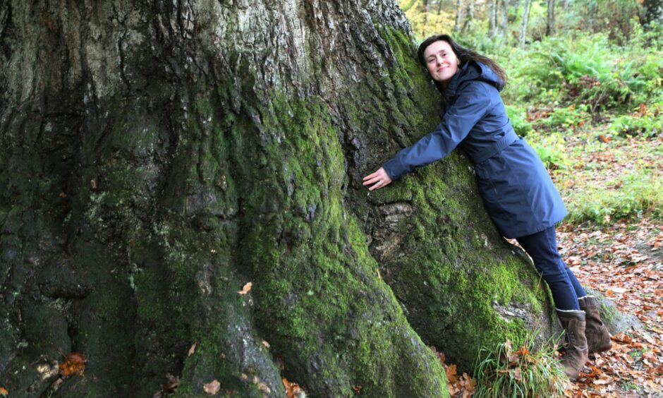 Aileen hugging the Birnam Oak
