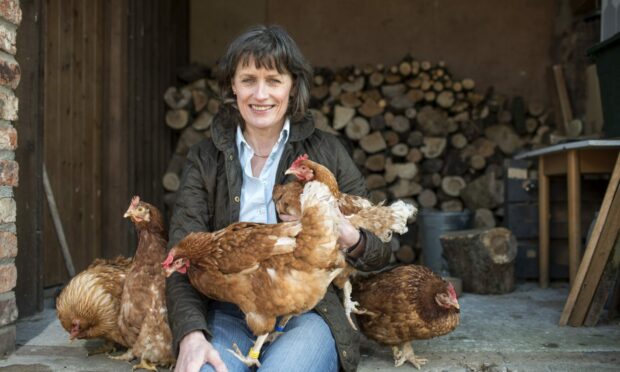 Founder of the British Hen Welfare Trust, Jane Howorth MBE. Image: Sean Malyon/British Hen Welfare Trust Date.