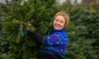 Kelly McIntyre of Sholach Christmas Trees, Blairgowrie.