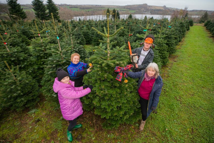 The McIntyre family pictured here at their Perthshire tree farm.