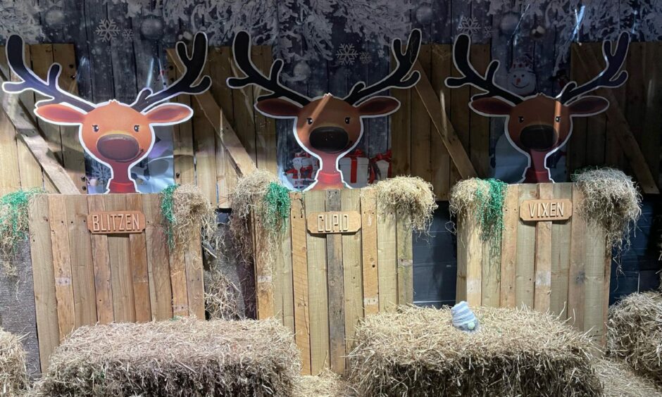 The Dunfermline Santa's grotto includes reindeer in an enchanted forest