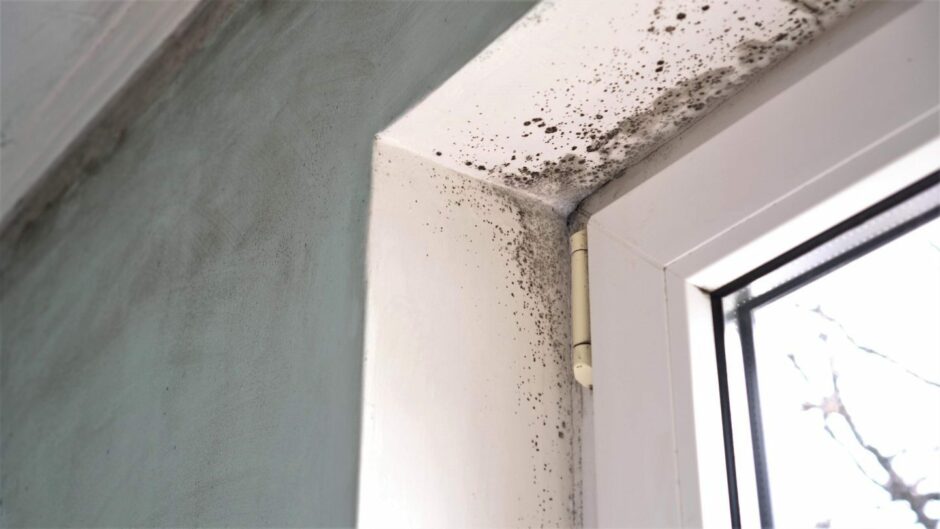 Photo shows mould spores around the interior of a window frame.
