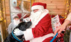 Gayle's Labrador Toby has a cuddle from Santa. Picture: Kath Flannery.