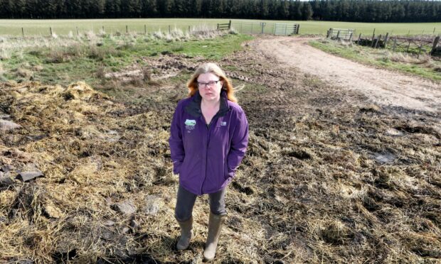 Owner of Newton Farm Holidays, Louise Nicoll has been left devastated after bird flu outbreak. Image: Gareth Jennings/DC Thomson