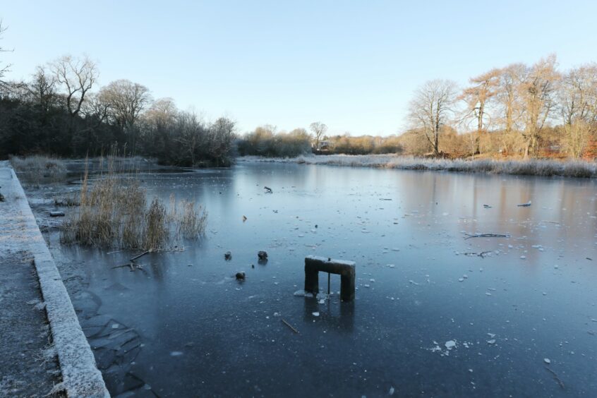 Trottick Ponds have frozen over