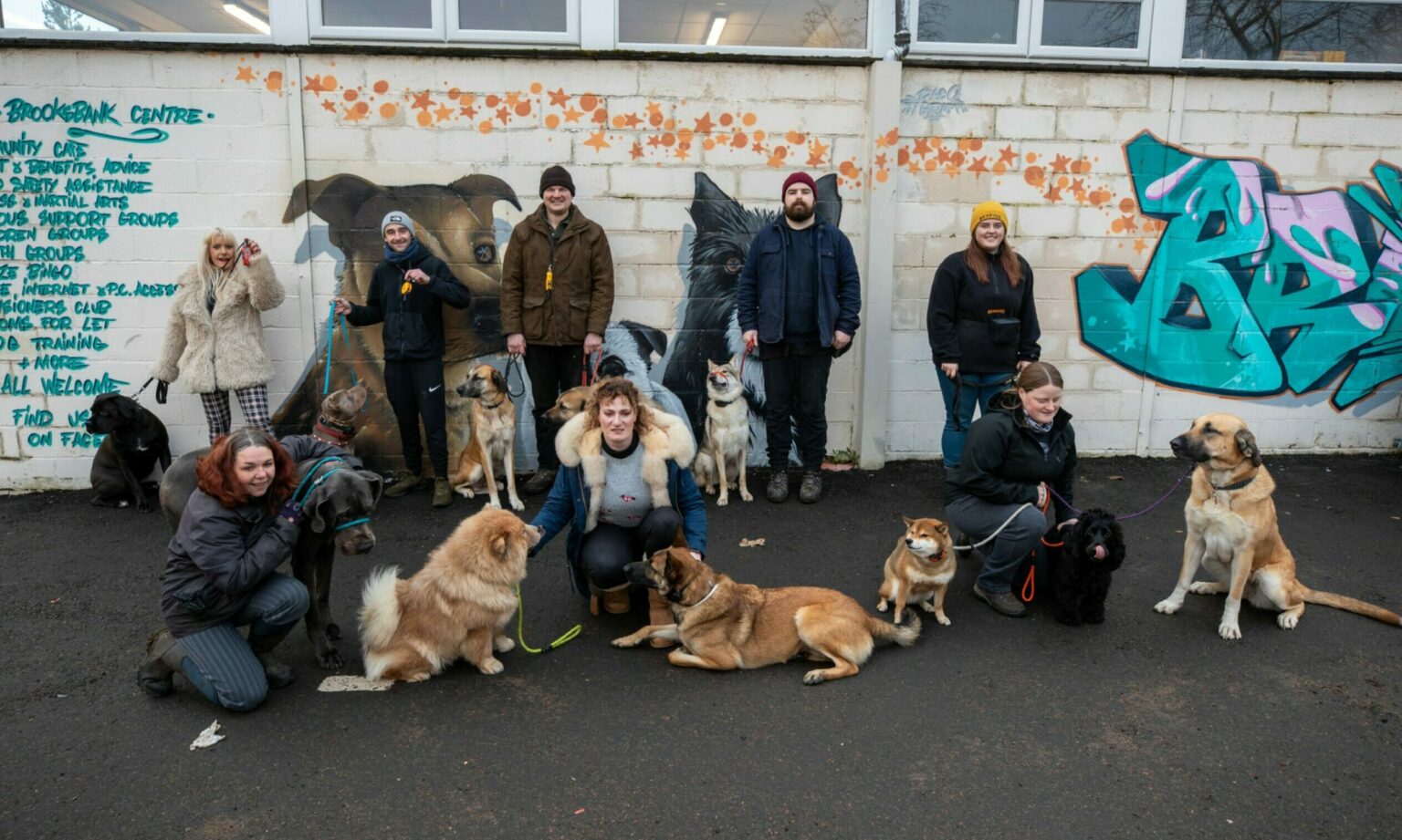 Should electric dog collars be banned in Scotland?