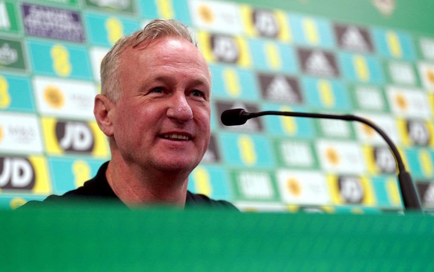 Michael O'Neill has beeb appointed Northern Ireland manager for a second spell. Image: PA