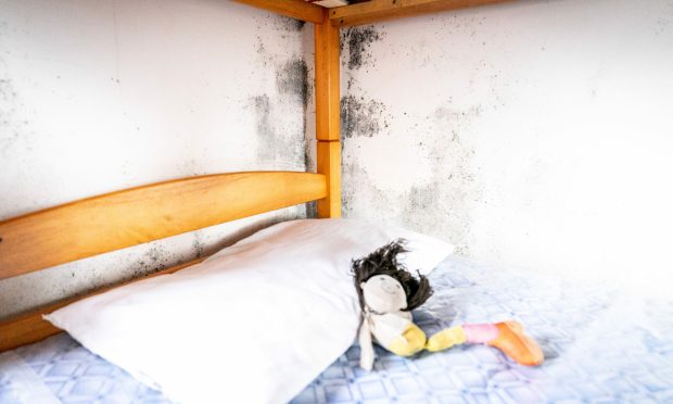 Fife Council's damp housing in Crail in 2020.