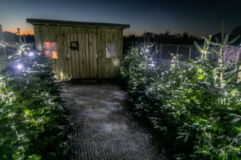 Santa's cabin at the Deer Centre Santa's grotto