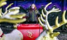Driving the sleigh at the Deer Centre Santa's grotto