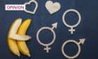 shool blackboard covered in symbols suggesting sex education.