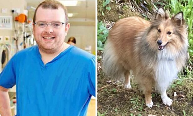 Vet Padraig Egan carried out keyhole surgery, usually used for humans, on Evie the Shetland Sheepdog.