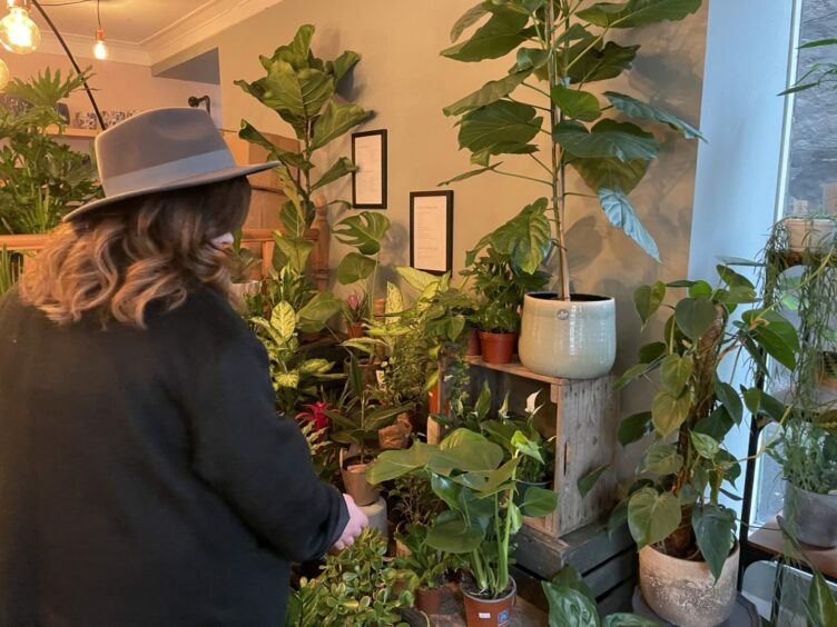 Hannah Ballantyne browsing the plants in Terra Botanica, Perth.