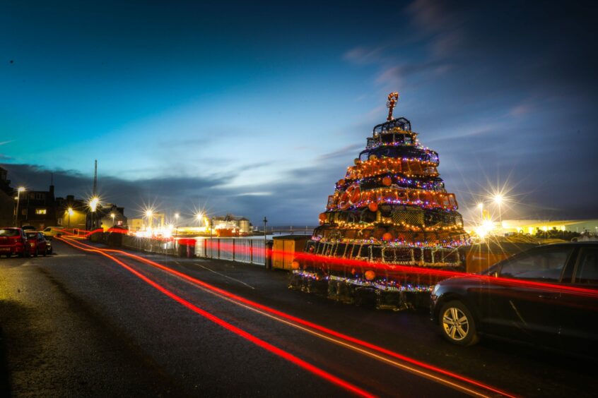 Ferryden harbour Christmas tree