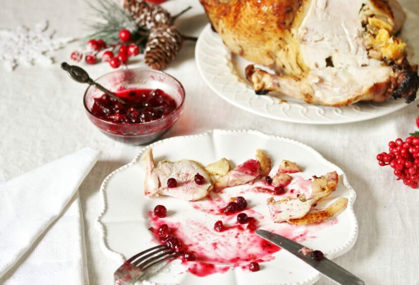 plate with food scraps on a table with half-eaten turkey and cranberry sauce.