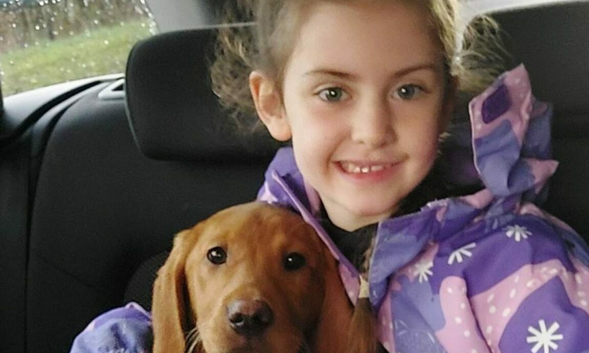 Dunfermline family 'left with nothing' after house fire that killed cat