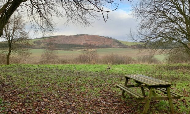 Lucklaw Hill from Willie's Wood.