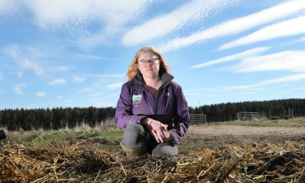 Farmer Louise Nicoll. Image: Gareth Jennings/DC Thomson