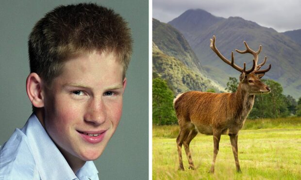 Prince Harry has opened up about a "baptismal" encounter with a dead deer left him fearing for his life. Image: Roddie Reid/DCT Media