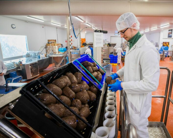 Workers packing haggis inside Simon Howie factory at Dunning