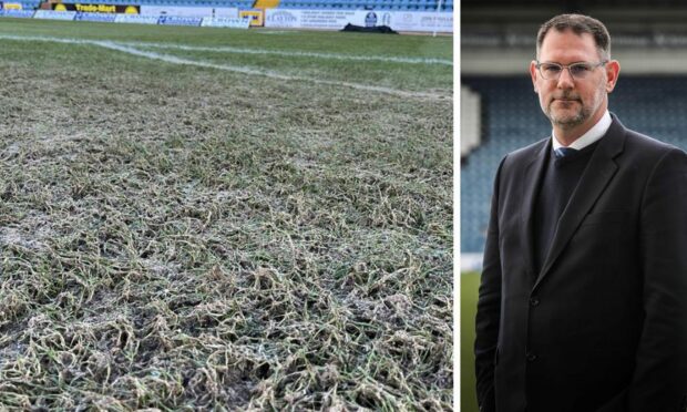 The Dens Park pitch and Dundee managing director John Nelms.