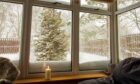 Cosy conservatory with double glazing in Dundee