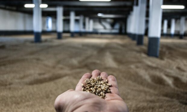 CUTTING IT FINE: Around one million tonnes of malting barley was needed last year and 1.1m was produced.