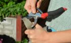 Keeping our gardening tools sharp and well oiled is essential.