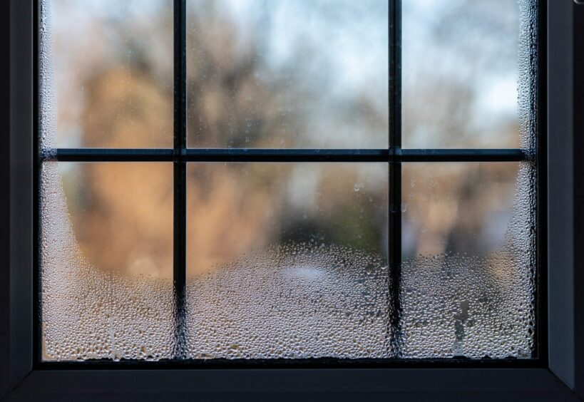 window with condensation