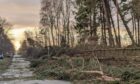 Work to clear the fallen trees in Edzell is set to begin. Image: Janice Stewart