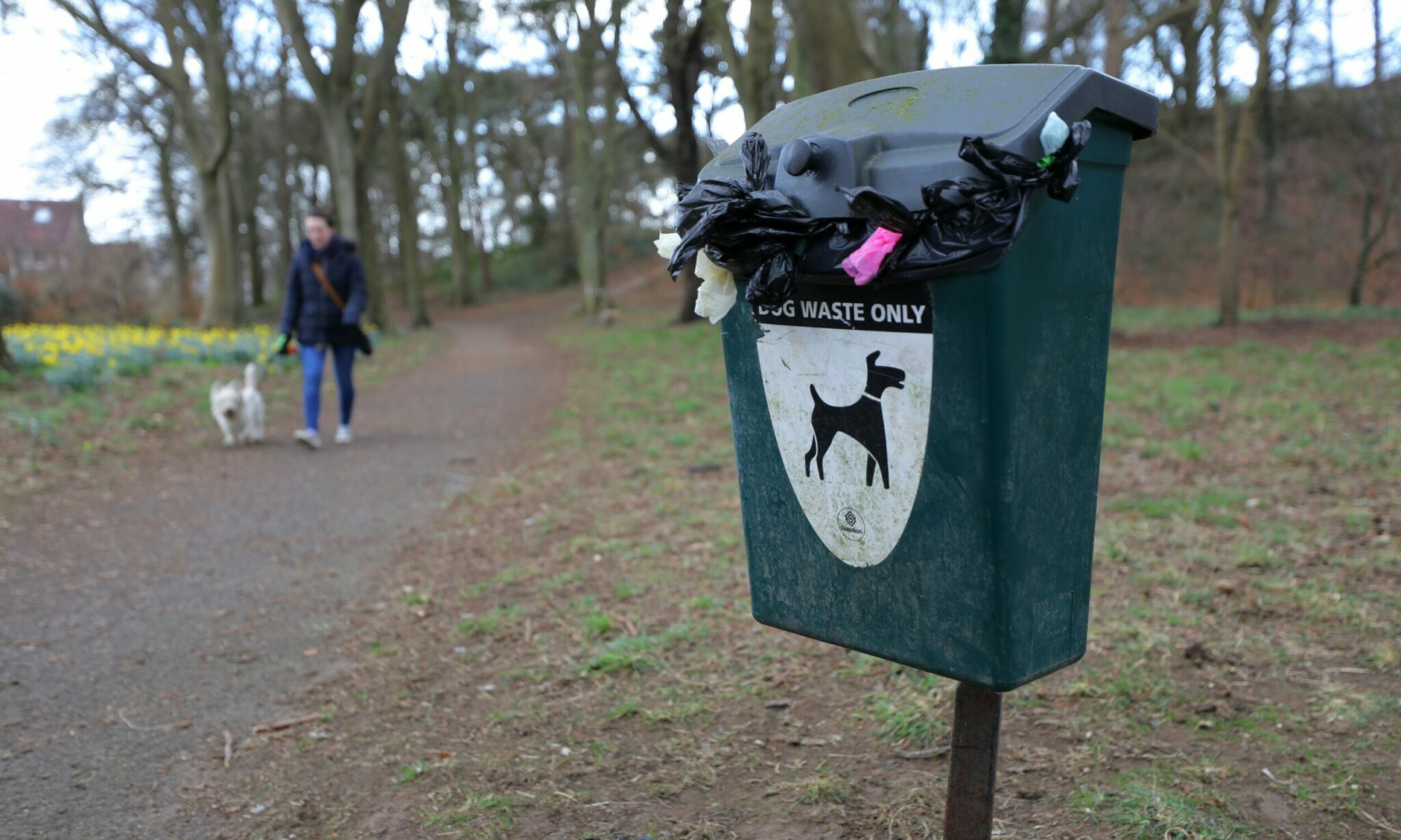 Just three dog poo fines paid in Dundee last year