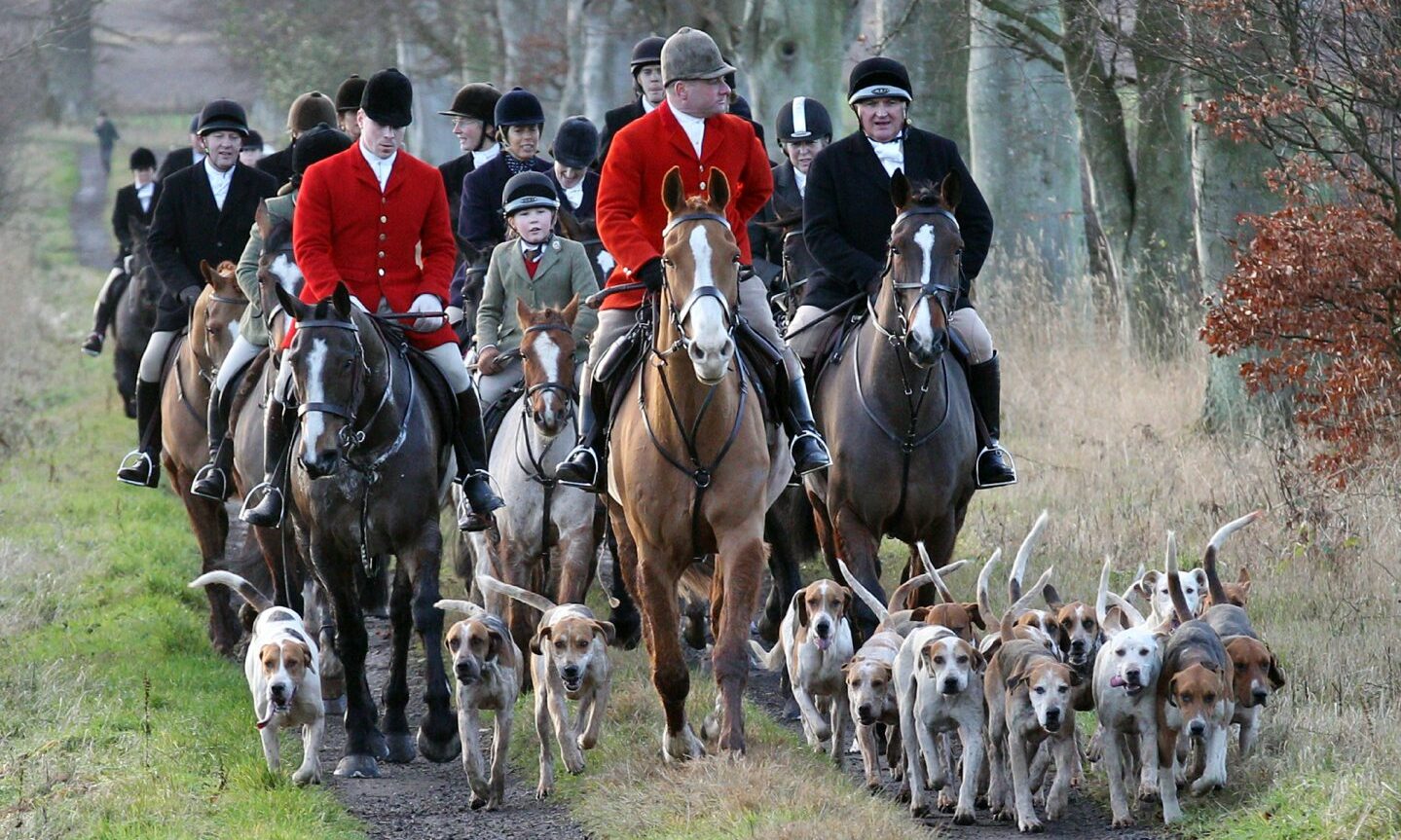 Anti-hunting activists celebrate as Fife fox hunting group disbands