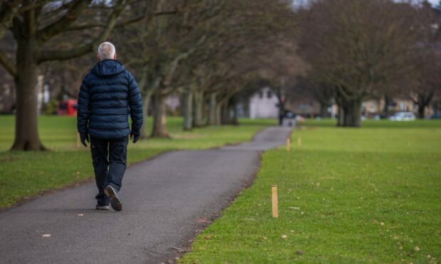 Stakes in the ground show where the new lights will be placed at South Inch, Perth. Image: Steve MacDougall/DC Thomson