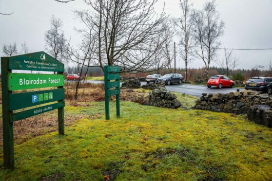 Blairadam Forest. Image: Steve Brown