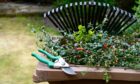 Brown bins collect garden waste in Dundee. Image: Shutterstock