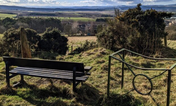 Balmashanner Hill. Image: Gayle Ritchie/DC Thomson