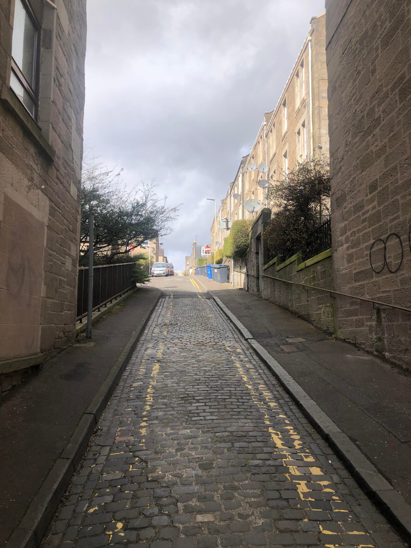 Bonnybank Road in Dundee, where Bear the dog was stolen