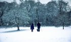Camperdown Park in winter. Image: Blair Dingwall/DC THomson