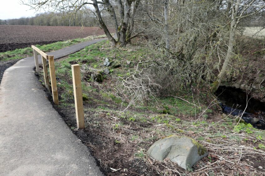 Kinnordy Loch path row.