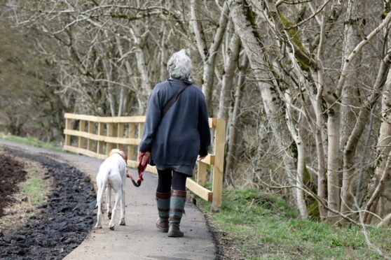 Critics say the new path is too narrow for wheelchair users. Image Gareth Jennings/DC Thomson