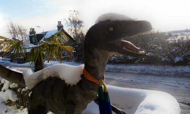 Vinny the velociraptor outside his home in Barry. Image: Nicky Burke