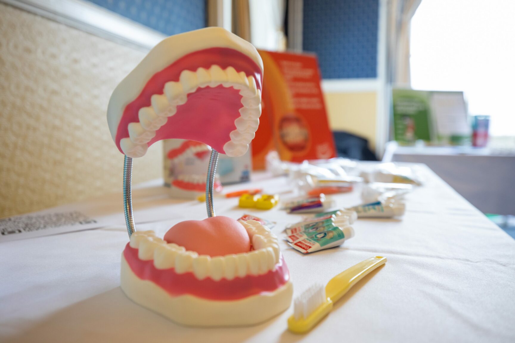 Ukrainian refugees get dental health advice from Dundee students