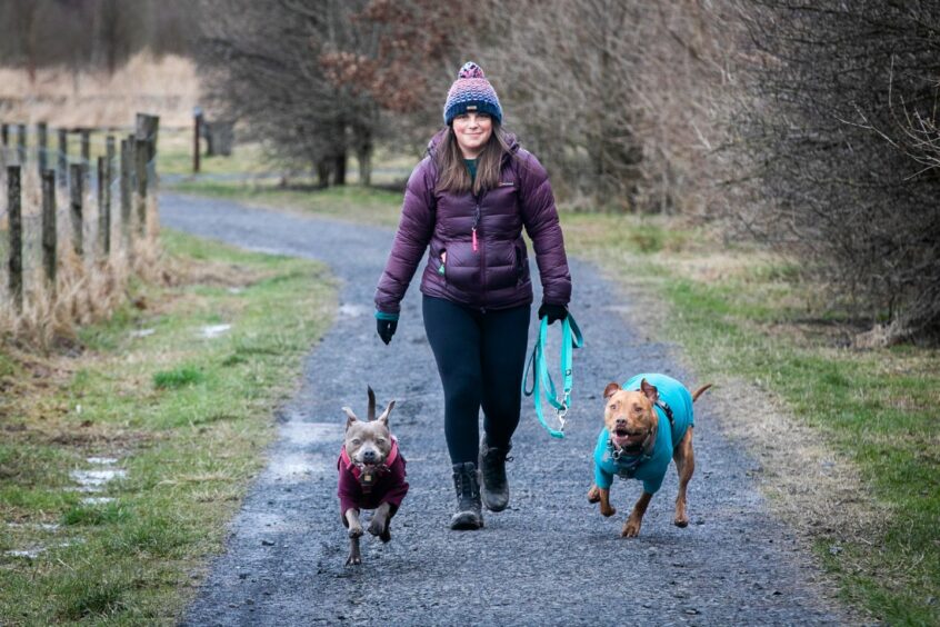 Fiona Stewart with her staffies, Blue and Indy. 