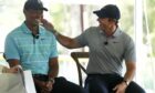 Tiger Woods and Rory McIlroy are two of just three golfers in the top 50 of Forbes' list of highest earning sportspeople.